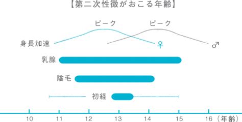 女の子の陰毛|気になる！男の子と女の子のカラダの変化